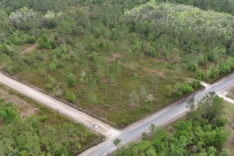 Land in White Springs, Florida № 2113499 - photo 4