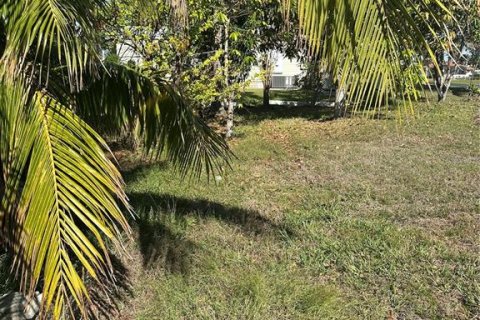 Land in Punta Gorda, Florida № 1559313 - photo 12