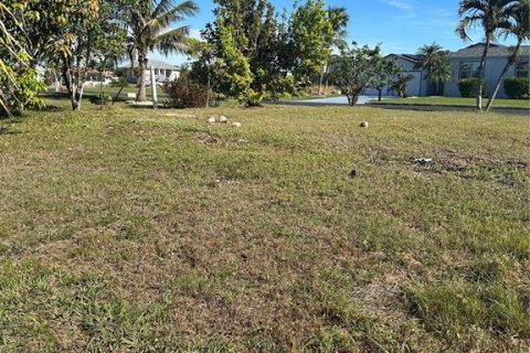 Land in Punta Gorda, Florida № 1559313 - photo 10