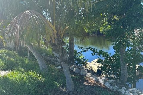 Land in Punta Gorda, Florida № 1559313 - photo 6