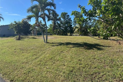 Land in Punta Gorda, Florida № 1559313 - photo 3