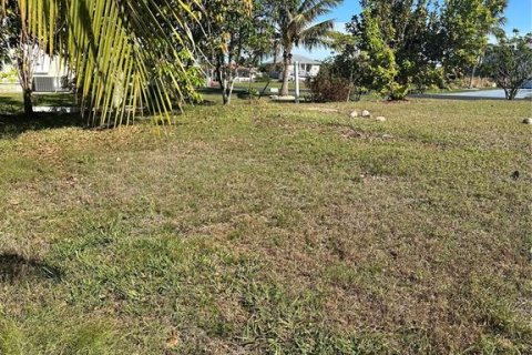 Land in Punta Gorda, Florida № 1559313 - photo 13