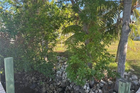 Land in Punta Gorda, Florida № 1559313 - photo 11