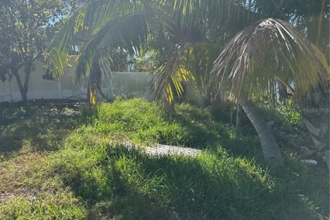 Land in Punta Gorda, Florida № 1559313 - photo 7