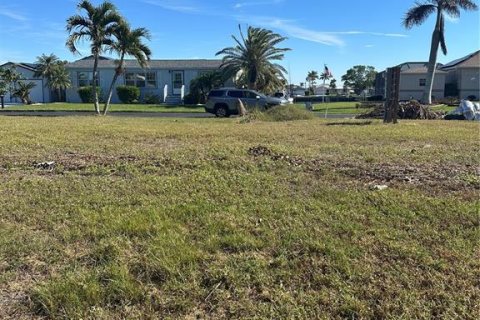 Land in Punta Gorda, Florida № 1559313 - photo 25