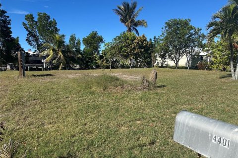 Land in Punta Gorda, Florida № 1559313 - photo 4
