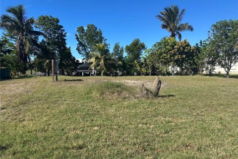 Land in Punta Gorda, Florida № 1559313 - photo 22