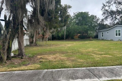 Terrain à Lakeland, Floride № 2097439