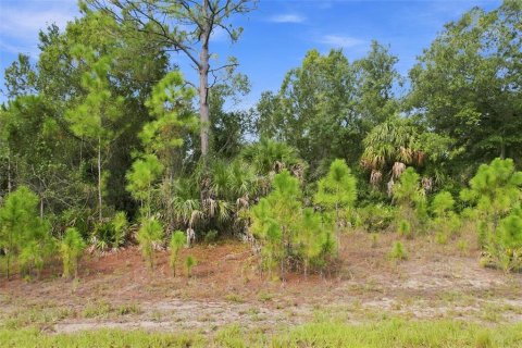 Land in North Port, Florida № 2351714