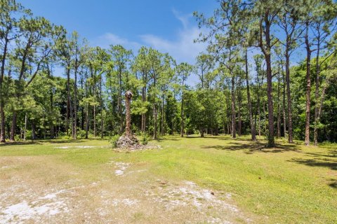 Land in Davenport, Florida № 2103860 - photo 8