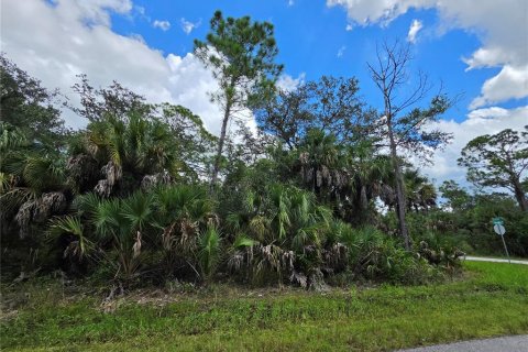 Land in Port Charlotte, Florida № 2380343 - photo 8