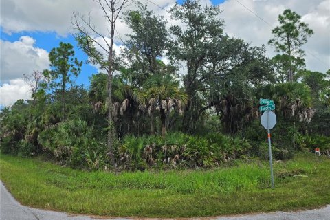 Land in Port Charlotte, Florida № 2380343