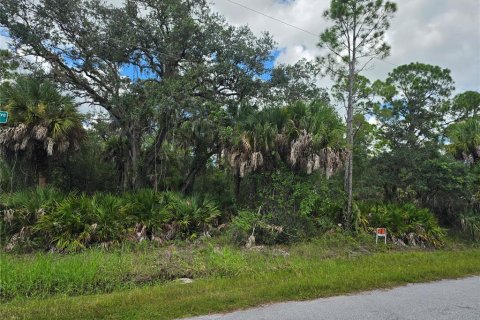 Land in Port Charlotte, Florida № 2380343 - photo 5