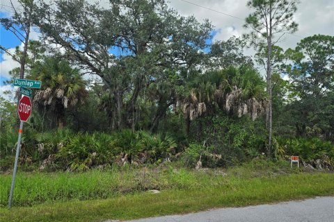 Land in Port Charlotte, Florida № 2380343 - photo 4