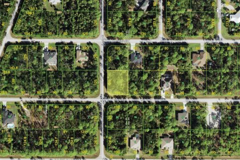 Land in Port Charlotte, Florida № 2380343 - photo 9