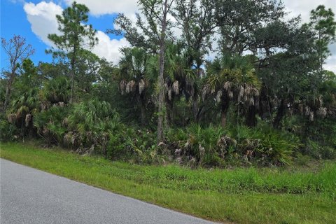 Land in Port Charlotte, Florida № 2380343 - photo 6