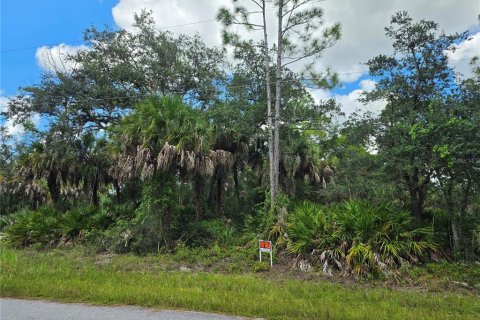 Land in Port Charlotte, Florida № 2380343 - photo 3