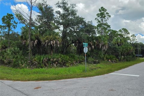 Land in Port Charlotte, Florida № 2380343 - photo 7