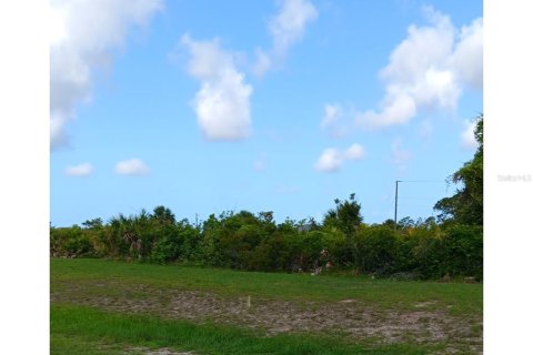 Terreno en Rotonda, Florida № 2213805