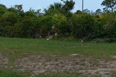 Terreno en venta en Rotonda, Florida № 2213805 - foto 3