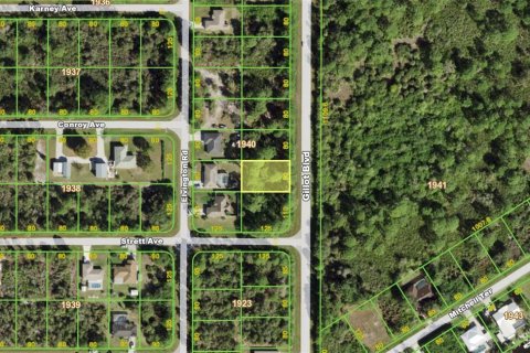 Land in Port Charlotte, Florida № 2159032
