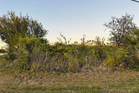 Land in Port Charlotte, Florida № 2160767 - photo 2
