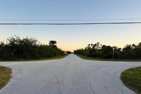 Land in Port Charlotte, Florida № 2160767 - photo 5