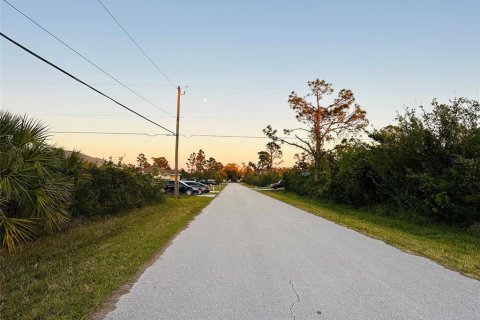 Land in Port Charlotte, Florida № 2160767 - photo 8