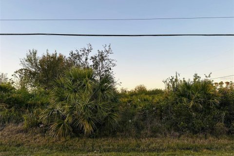 Land in Port Charlotte, Florida № 2160767 - photo 6