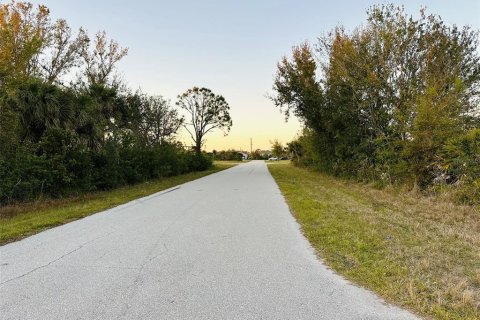 Land in Port Charlotte, Florida № 2160767 - photo 3