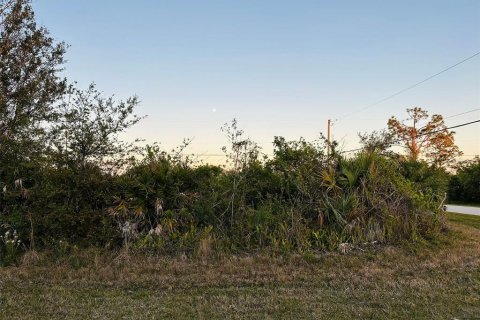 Land in Port Charlotte, Florida № 2160767 - photo 4