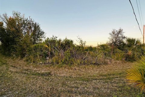 Land in Port Charlotte, Florida № 2160767 - photo 7