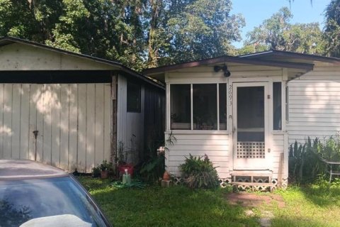 House in Lake Panasoffkee, Florida 2 bedrooms, 52.03 sq.m. № 1853435