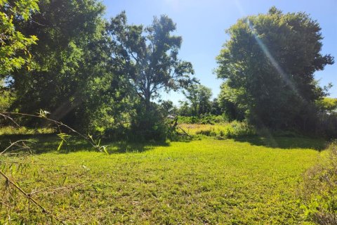 Terreno en venta en Orlando, Florida № 2099197 - foto 8