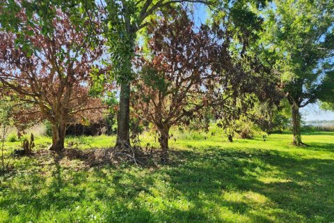 Terreno en venta en Orlando, Florida № 2099197 - foto 3