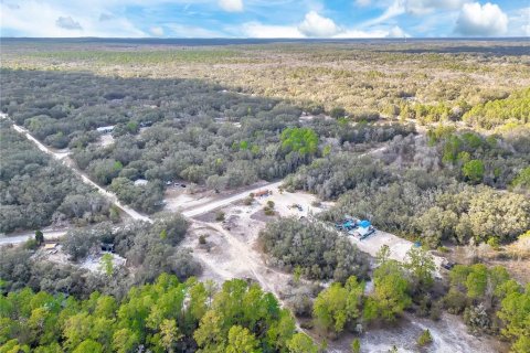 Land in Webster, Florida № 2161724 - photo 16