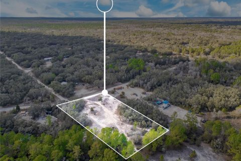 Land in Webster, Florida № 2161724