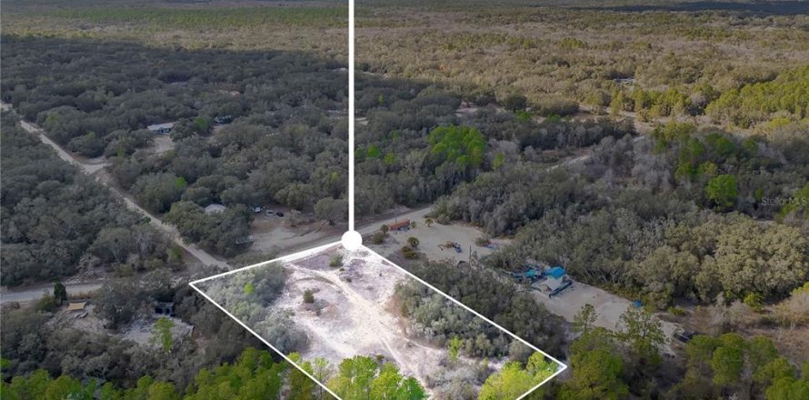 Land in Webster, Florida № 2161724