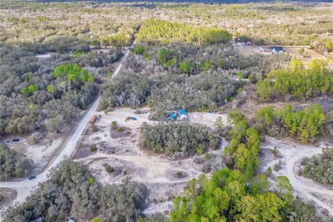 Land in Webster, Florida № 2161724 - photo 18