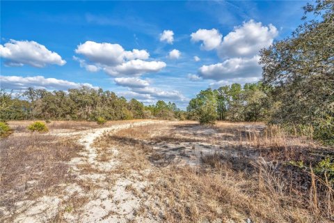 Land in Webster, Florida № 2161724 - photo 6