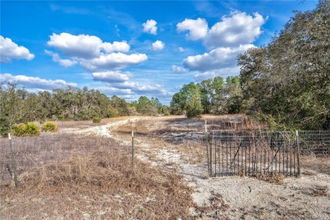 Land in Webster, Florida № 2161724 - photo 4