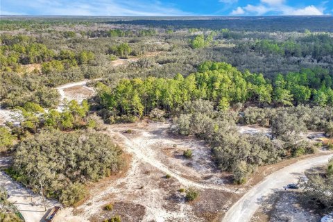 Land in Webster, Florida № 2161724 - photo 10