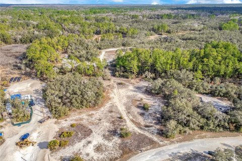 Land in Webster, Florida № 2161724 - photo 9