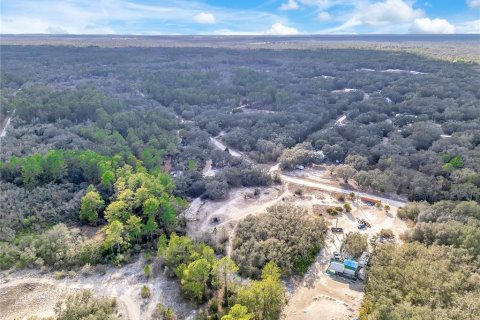 Land in Webster, Florida № 2161724 - photo 13