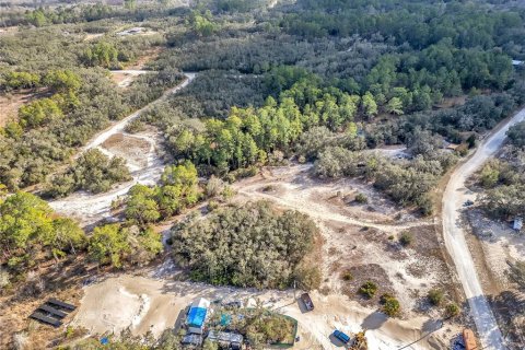 Land in Webster, Florida № 2161724 - photo 11