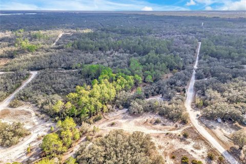 Land in Webster, Florida № 2161724 - photo 12