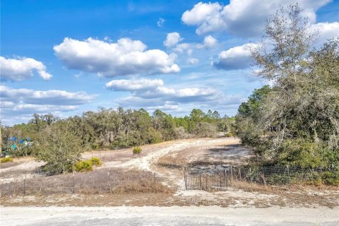 Land in Webster, Florida № 2161724 - photo 7