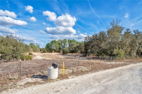 Land in Webster, Florida № 2161724 - photo 5