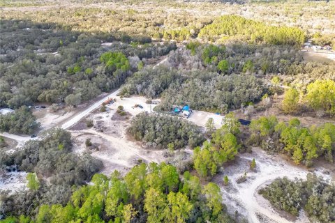 Land in Webster, Florida № 2161724 - photo 17