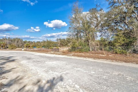 Land in Webster, Florida № 2161724 - photo 3